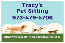 Logo for Tracy’s Pet Sitting Logo for Tracy’s Pet Sitting